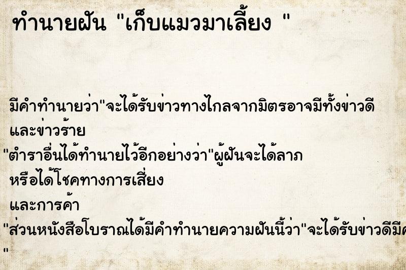 ทำนายฝัน เก็บแมวมาเลี้ยง 